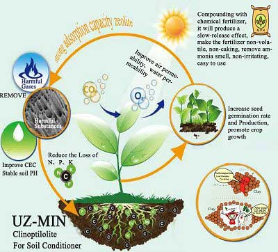 ゼオライトは土壌の土壌改良剤として使用されます