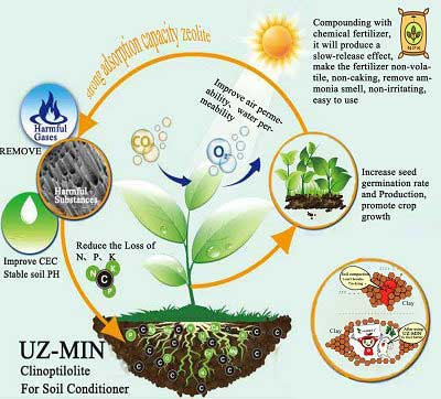 la zeolita se utiliza como enmienda del suelo en el suelo