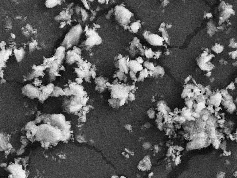 ภาพ SEM & XRD ของซีโอไลต์ธรรมชาติ Clinoptilolite